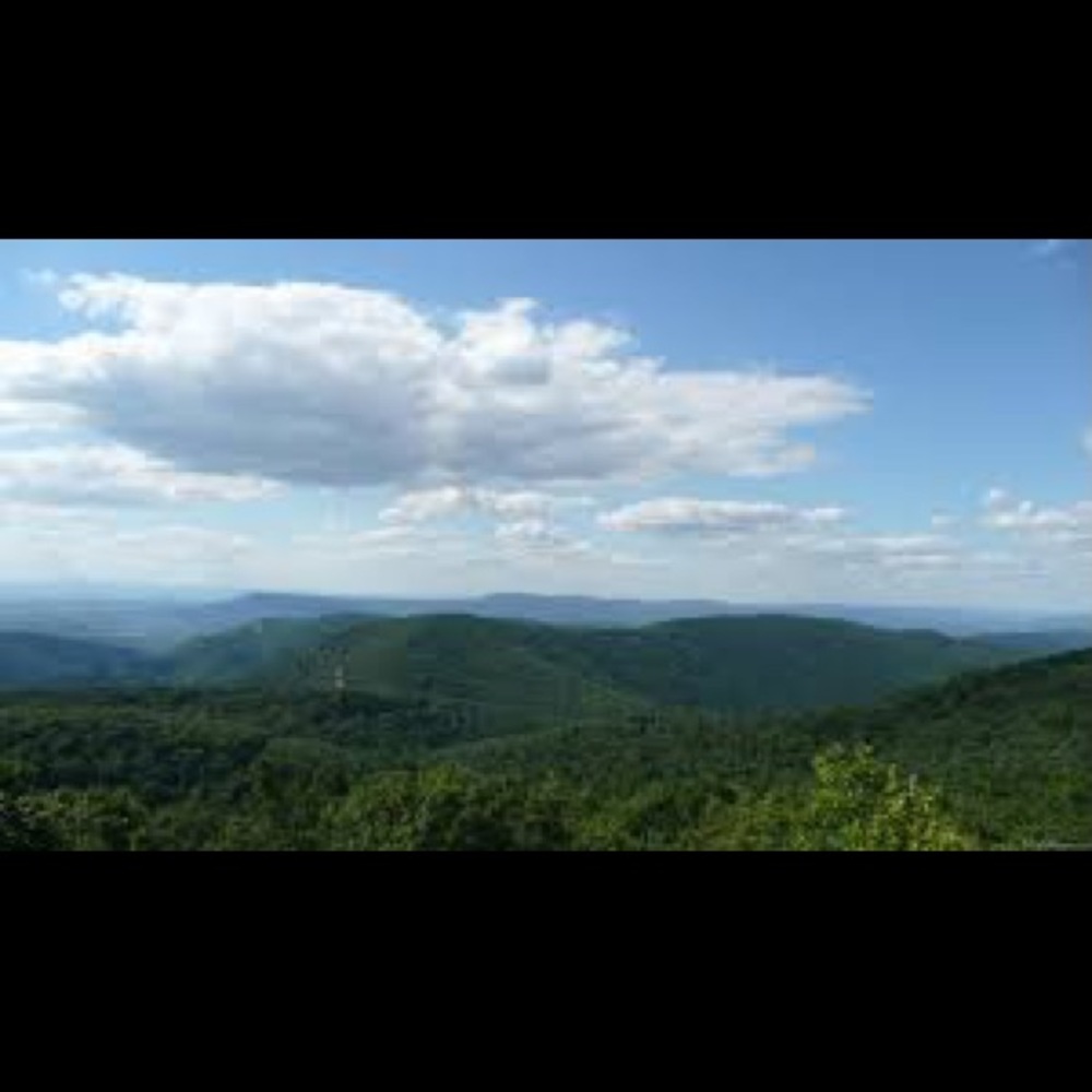 🎉 Posh Ambassador 🎉